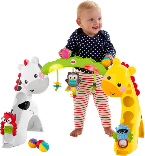 Fisher Price Newborn-to-Toddler Play Gym