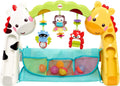 Fisher Price Newborn-to-Toddler Play Gym