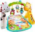 Fisher Price Newborn-to-Toddler Play Gym